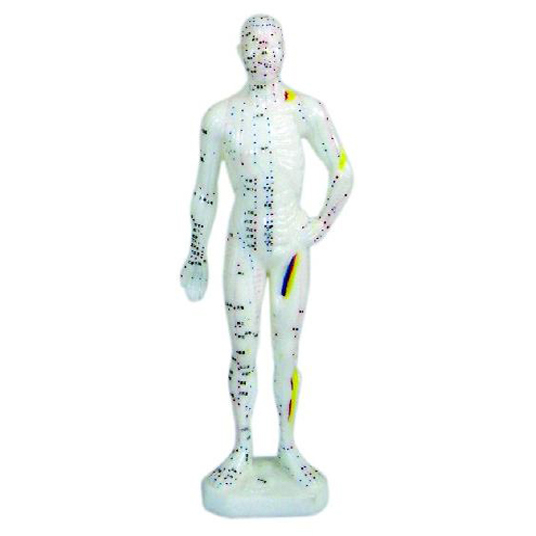 26cm�������ģ��