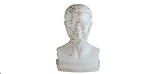 ��Ȼ��ͷ���ģ��