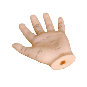 13cm�����ģ��