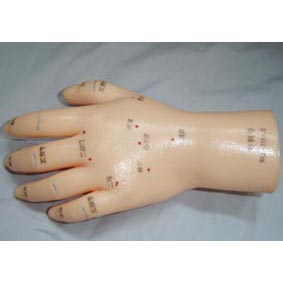 ��Ħ��ģ��,��Ȼ��