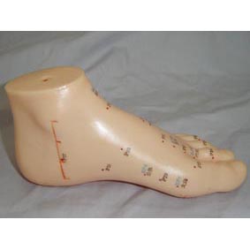 11cm �����ģ��