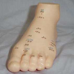 15cm �����ģ��