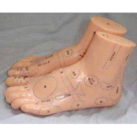 20cm ��Ħ��ģ��(��)