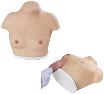 �߼����������봥��ģ��