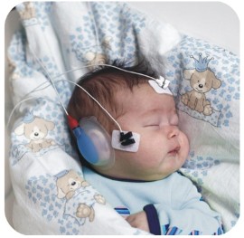 ����ɸ����